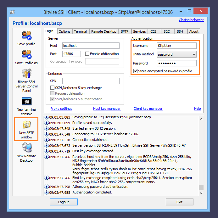 Bitvise Sftp Setup